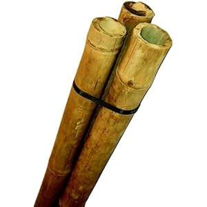 Namiba Terra 0382 Bambusrohr-Set 80 cm ø 04-05 cm, 3-Stück