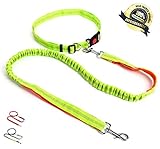 ✔️TOP QUALITÄT, WETTERFEST, DEUTSCHER SERVICE: Dank hochwertiger Verarbeitung, reißfestem Nylon und einem festen Metallkarabiner, steht einem Ausflug nichts im Wege! Für kleine, mittelgroße und große Hunde geeignet.