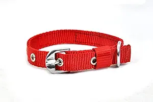 The Bon Bon Nylon 20mm Dog red Collar for Your pet with Nylon Material