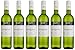 Produktbild KWV Sauvignon Blanc Western Cape trocken 2016/2017 (6 x 0.75 l)