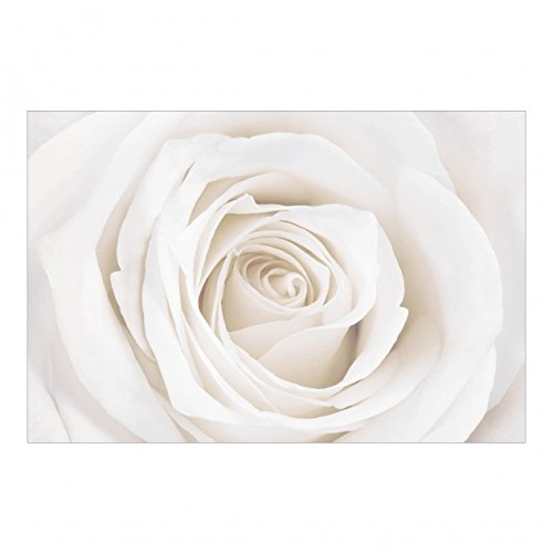 Vliestapete – Top Rosen Tapeten – 6 hochwertige Motive zur Auswahl – Fototapete Breit Vlies Tapete Wandtapete XXL Wandbild Foto 3D Fototapete Wohnzimmer Schlafzimmer Kinderzimmer, Größe HxB: 225cm x 336cm; Motiv: Pretty White Rose - 2