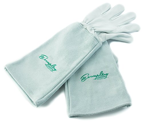 Preisvergleich Produktbild Rosen Gartenhandschuhe für Damen und Herren. Ziegenleder Gartenhandschuhe haben eine Lange Rindsleder Manschette zu Schützen für Ihre Arme, bis der Ellenbogen (klein, natürlich)