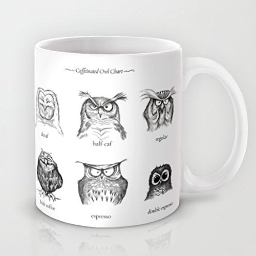 Caffeinated Owls 11 Ounces Coffee Mug Novelty Funny Gift Mug Geramic Mug