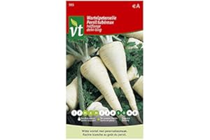 ARBORIX, PLUS VERT - MOINS CHER Persil tubéreux demi-Lo Graines - Légume assez rare et peu cultivé