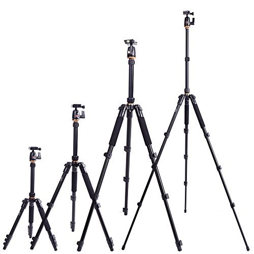 Mejor Beike BK-555 Trípode para cámara réflex con Rótula portátil
plegable para viajar a tomar las fotos perfectas Especial