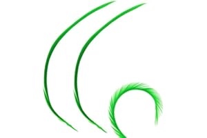 GREGORY CRAFTS & GIFTS Green Biot Feathers x 5 - Millinery hat, fascinator, wedding decoration - long feathers