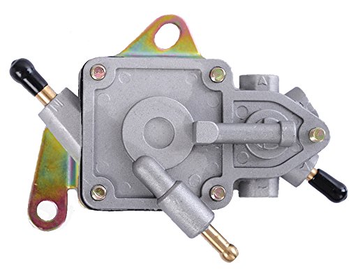 QFS OEM Frame-Mounted Mechanical Fuel Pump Replacement for Polaris RZR 170 A09VA17AA/AD A10VA17AA/AD R11VA17AA R12VA17AA/AC R13VA17AA/AB R14VA17AA/AF, 2009-2014, OEM 0454395, 0454953, 0454261
