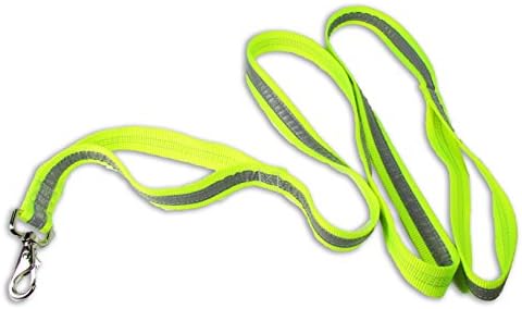 Petflect Reflective Double Loop 6 Foot Dog Leash, Fluorescent Yellow/Silver