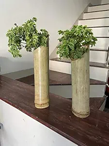SPRAWA Hand-Made Standable Bamboo Planter for Home, Balcony, Office, Garden (Set of 2, Height 9 inch-11 inch)