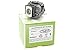 Produktbild Alda PQ® Premium, Beamerlampe / Ersatzlampe passend für Epson EB-S10, EB-S9, EB-S92, EB-W10, EB-W9, EB-X10, EB-X9, EB-X92, EX 2200, EX3200, EX5200, EX7200, H367A, H367B, H367C, H368A, H369A, H375A, H375B, H376B, H391A, PowerLite 1220, PowerLite 1260, PowerLite S10+, PowerLite S9, PowerLite X9, VS200 Projektoren, Alda PQ® Lampe mit Gehäuse / Halterung
