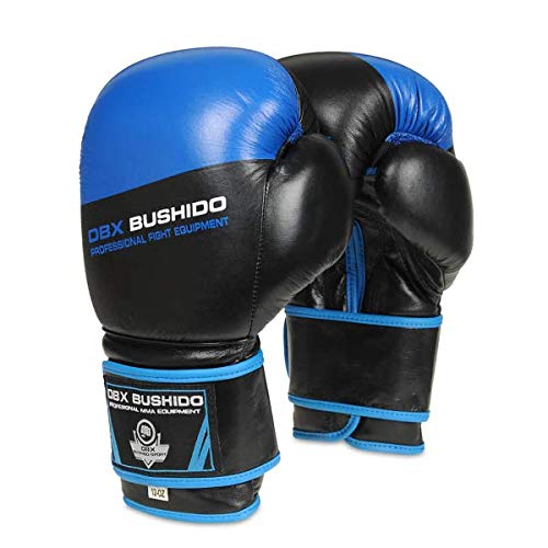 Preisvergleich Produktbild Bushido Rkawice Bokserskie Sparing. B-2v5 / 10oz