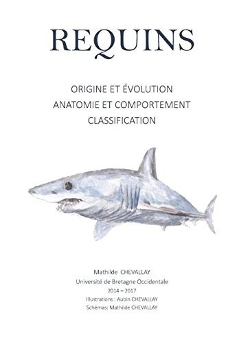 Requins: Origine et Evolution, Anatomie et Comportement, Classification francais Requins: Origine et Evolution, Anatomie et Comportement, Classification francais