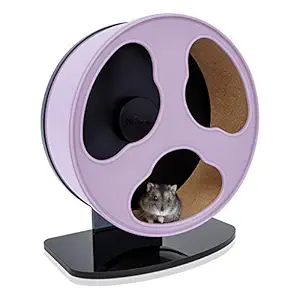 Niteangel Quiet Hamster Exercise Wheel: - Dark Clouds Series Hamster Running Wheels for Dwarf Syrian Hamsters Gerbils Mice or Other Small Sized Pets (Small, Purple)