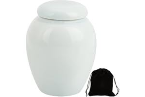 GORGECRAFT Mini Urnas de Cremación Contenedor de Cenizas Conmemorativas Urnas Pequeñas de Recuerdo Funerario Recipiente de Cerámica de Porcelana para Almacenar Cenizas para Compartir con Familiares