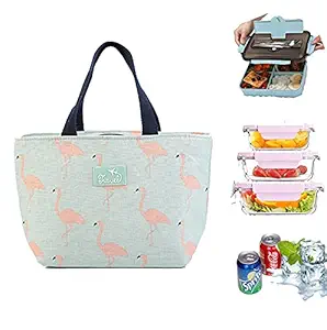 TOAVI Insulated Bags to Carry Food, Fabric Lunch Boxes, Thermal to Keep Cold and Heat, Waterproof, for Women and Children, for Schools, Offices, Travel and Work (Multi)