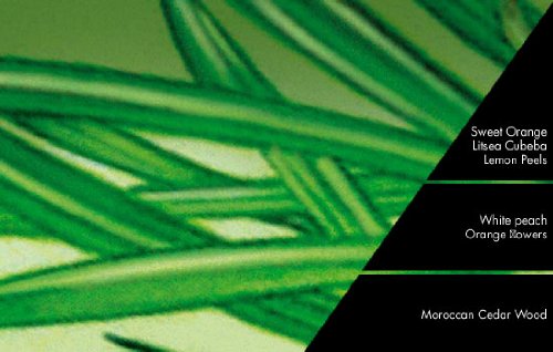 Ricarica Diffusore A Stick 500Ml Lemon Grass - 3