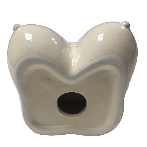 Max & Mix Aschenbecher Zigarre Zigarre Sexy Mignon Zimmer C ¨ ¦ Keramik Aschenbecher Aschenbecher Aschenbecher für D Farbnäpfchen Tabletop Büro? Hause, Aschenbecher Geschenk, Raucher weiß - 7