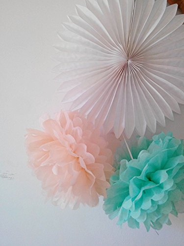 CUTADORNS 6pcs Tissue Paper Pom Poms Flower Ball Hanging Pom for Wedding Party Outdoor Decoration Bridal Shower Party Baby Shower (Pink and Baby Blue)