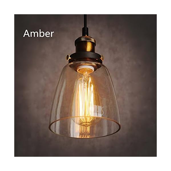 chendongdong Glass Shade Ceiling Chandelier Fitting Vintage Retro Pendant Lamp Light