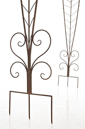 CLP Rosenbogen ELLEN, Metall, pulverbeschichtet, Höhe 245 cm, Größe 160 cm x 35 cm antik braun - 9