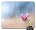 Produktbild Pulsatilla vulgaris Mouse Pad, Mousepad (Flowers Mouse Pad)