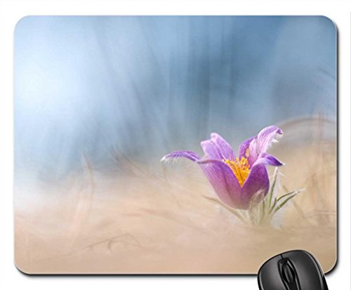 Preisvergleich Produktbild Pulsatilla vulgaris Mouse Pad, Mousepad (Flowers Mouse Pad)