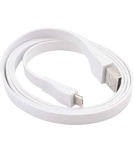 Câble De Charge Rapide Pour UE BOOM/MEGABOOM ROLL Adaptateur Secteur Usb Haut Parleur Compatible Bluetooth~p146729893