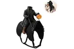 Halloween huvudlös ryttare kattdräkt, 3D huvudlös ryttare design, huvudlös