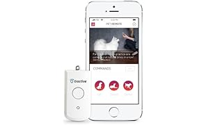 Collare No-Shock per Cani