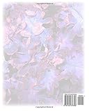 Image de Darius - Tagebuch - Notizbuch - Malbuch: Namensbuch Geschenkbuch Männlicher Vorname Darius