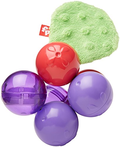 Fisher Price Twist and Turn Grapes, Multi Color