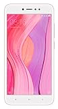 Redmi Y1