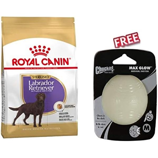 retriever high protein