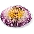 Shirlip Decorative Non Toxic Artificial Aquarium Coral Resin Plant Ornaments for Fish Tank, Multicolor