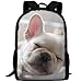 Produktbild HOJJP HandtascheMost Durable Lightweight Funny Water Resistant College School Computer Bag - Pet Dog