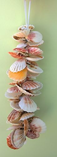 Decorative Seashell Garland Nautical Real Sea Shells Strawberry Fan Peach White Pink Hanging Nautical Decoration 32cm