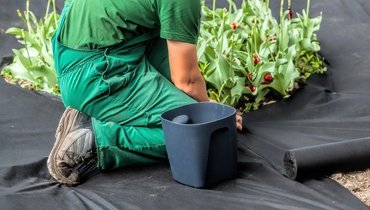 70 Stück Erdnägel, Erdanker zur Befestigung von Unkrautvlies (Made in Germany) - 3