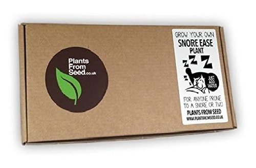 Plants From Seed - Grow Your Own Snore Ease - Mini Plant Kit