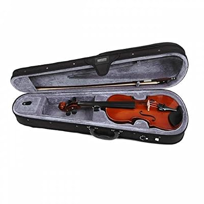 Violon Valencia adulte 4/4