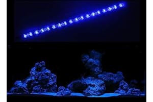 creative lights - Licht & Design AQUARIUM MONDLICHT 30 CM LED LICHTLEISTE KOMPLETTSET INKL. NETZTEIL FLEXI-SLIM BLAU
