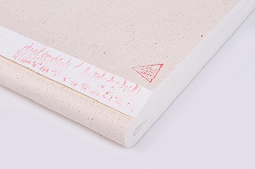 Semi behandelt Reis (Xuan) Papier für chinesische japanische Kalligraphie und Malerei 100 Blatt Pack 34 cm von 70 cm - 3