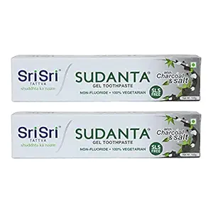 Sri Sri Tattva Sudanta Herbal Gel Toothpaste - All Natural, SLS Free, Fluoride Free Tooth Paste with Charcoal, Salt & More - 100g (Pack of 2), for Kids and Adults