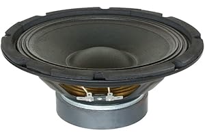 Skytec SP1000 Haut-Parleur 10 Pouces (25cm) - 250 Watts Max, Suspension Dure, Bobine Résistante à la Chaleur, Aimant Ventilé, Idéal pour Enceinte HiFi ou HP de Remplacement