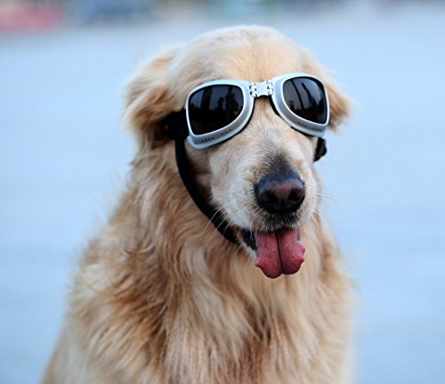 Namsan-Dog-Square-type-UV-Protection-Sun-Glasses-Goggles-Pet-Stylish-SunglassesLarge