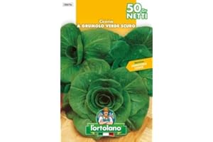 L'ORTOLANO SEMENTI DI ORTAGGI DI QUALITA' IN BUSTE TERMOSALDATE DA 50 GRAMMI (CICORIA A GRUMOLO VERDE SCURO)
