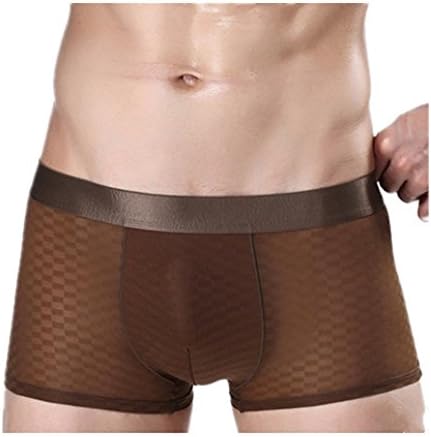 Letsshopping Summer Smooth Soft Men Sheer Bulge Pouch Mini Bikini Thin Boxer Trunks Briefs Underwear Underpants (L, Brown#4)