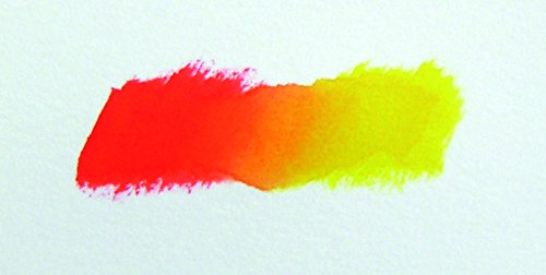 AKASHIYA Fude Pinselstift shin-mouhitsu Tinte (sa-300) 20 Color Set - 8