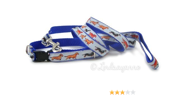 miniature dachshund puppy collar