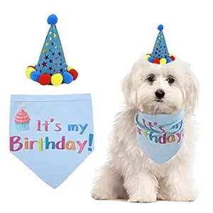 TAILGOO Dog Birthday Plaid Bandana with Party Hat - Blue Pet Outfit Kit as Puppies Cats Birthday Party Supplies Including Fashion Bandana and Cute Caps