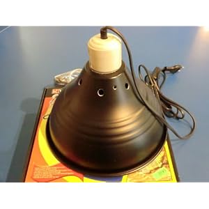 Terrarienklemmlampe mit Keramikfassung